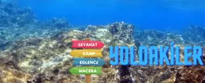 Deneyimler Aktiviteler 4 Antalya Dalış Turu