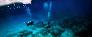 Marmaris Tüplü Dalış | 10 Marmaris Scuba Diving Merkezi Marmaris Tüplü Dalış