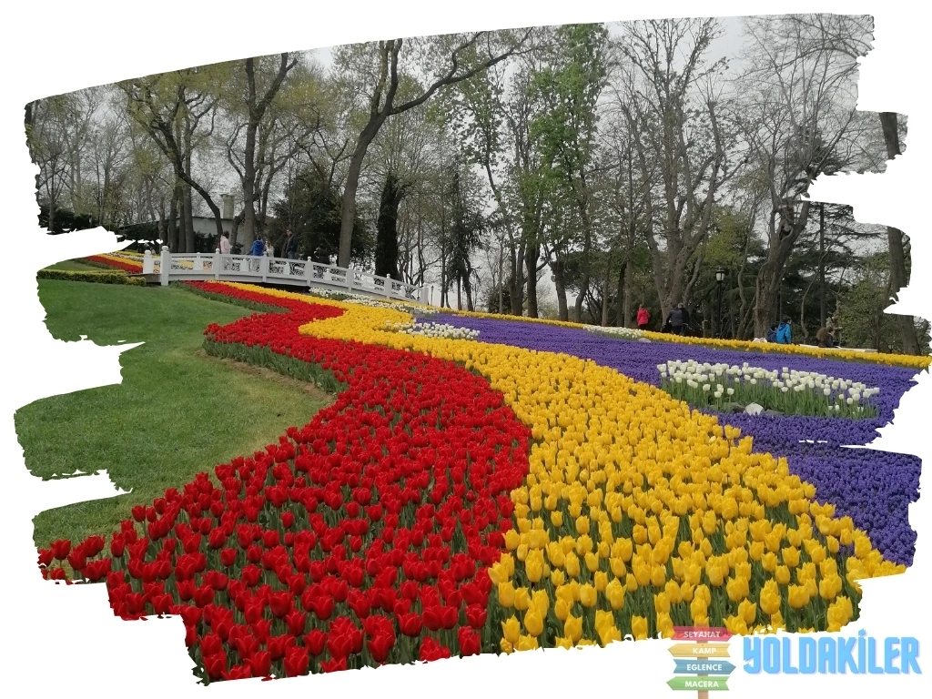 İstanbul Gezi Rehberi | İstanbul En İyi 20 Turistik Yer 11 Emirgan Korusu